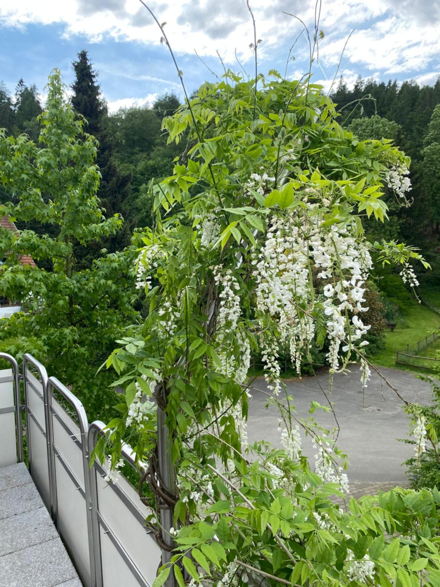 Ferienhof Kroeger Bielefeld Zewnętrze zdjęcie